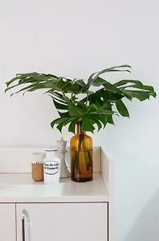 Vandrerhjem Lobo Urban Stay São Paulo